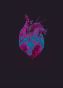 Anatomical Heart Print Pink. Screenshot